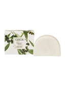 Giá Đỡ Cành Hương CIRCA