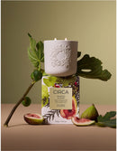 CIRCA 300g White Fig & Cedar Christmas Candle