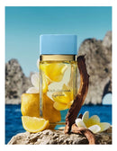 Dolce & Gabbana  Light Blue EDP 100ML