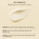 Mood by MOR Uplifting Citrus Hand Cream 100ML