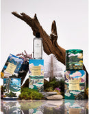 Glasshouse Fragrances Breathtaking Banff Interior Fragrance 150ml & Paper Diffuser