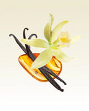 Kyoto in Bloom Camellia & Lotus 250mL Fragrance Diffuser Refill