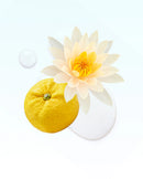 Glasshouse Fragrance Soy Candle - Velvet Rhapsody Water Lily & Yuzu