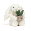 Jellycat奶油色兔子与植物
